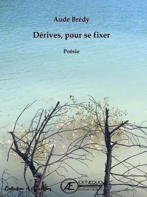 cover image of Dérives, pour se fixer